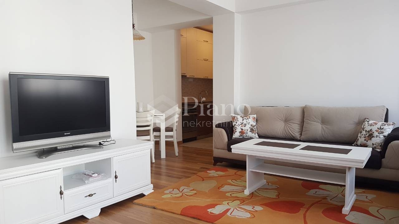 One bedroom lux furnished apartment in Zabjelo