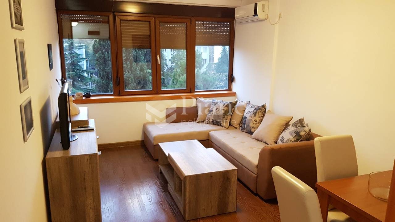 Furnished one-bedroom apartment Preko Morače