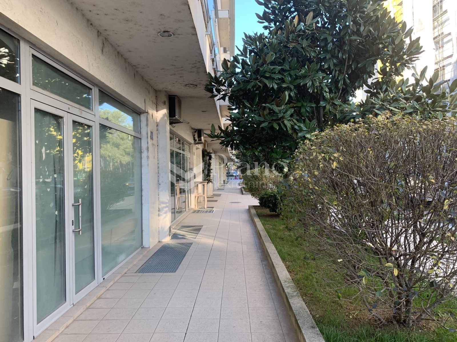 Nenamješten poslovni prostor, Tološka šuma