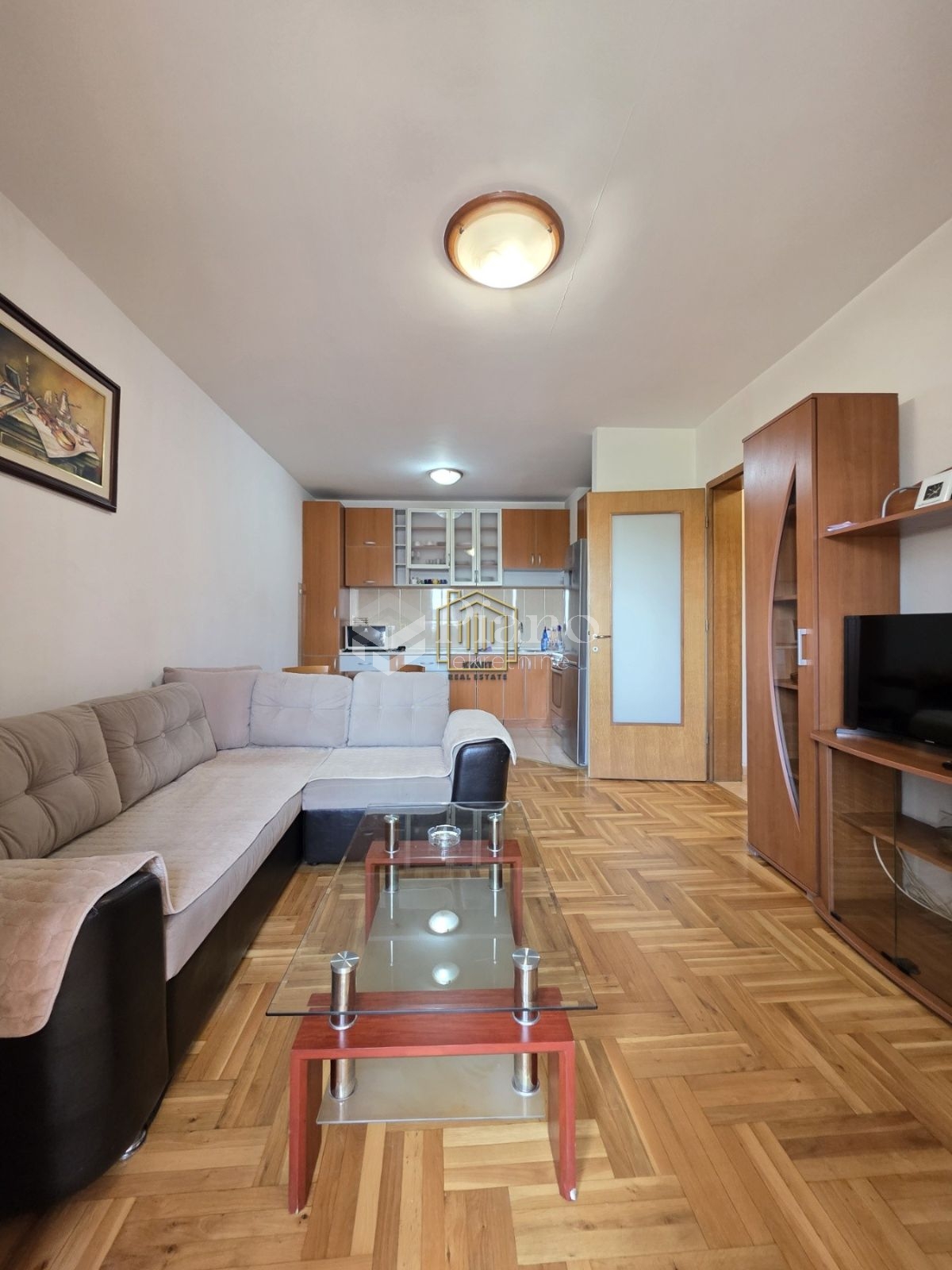 Furnished onebedroom apartment, Krivi most